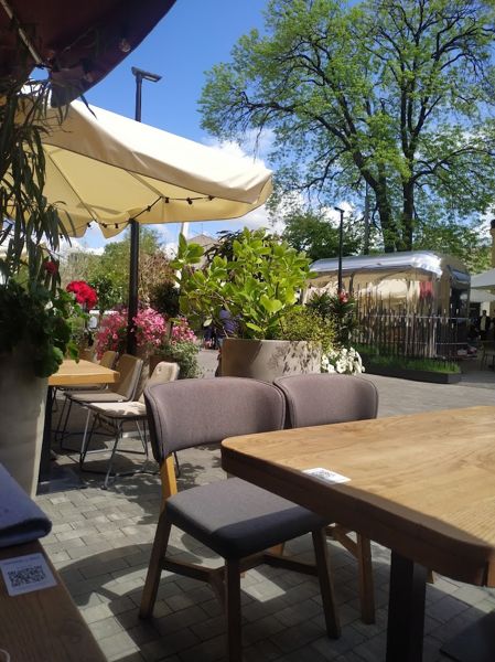 Фото Язички телячі у Хачапурі і Вино