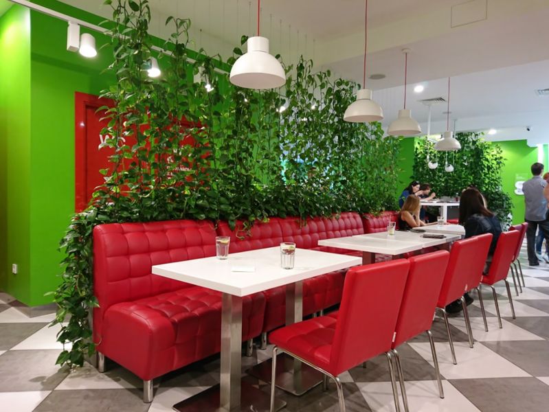 Меню ресторана Salateira в городе Киев, отзывы клиентов ⭐ TipMyMenu