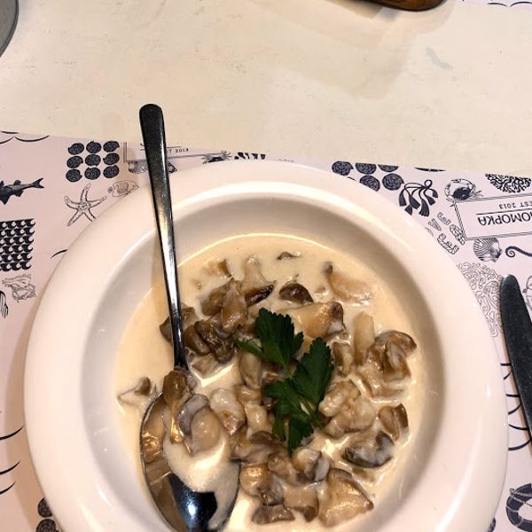 Фото Мясо рапана в Черноморка Фото Мясо рапана в Черноморка